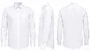 white.webp